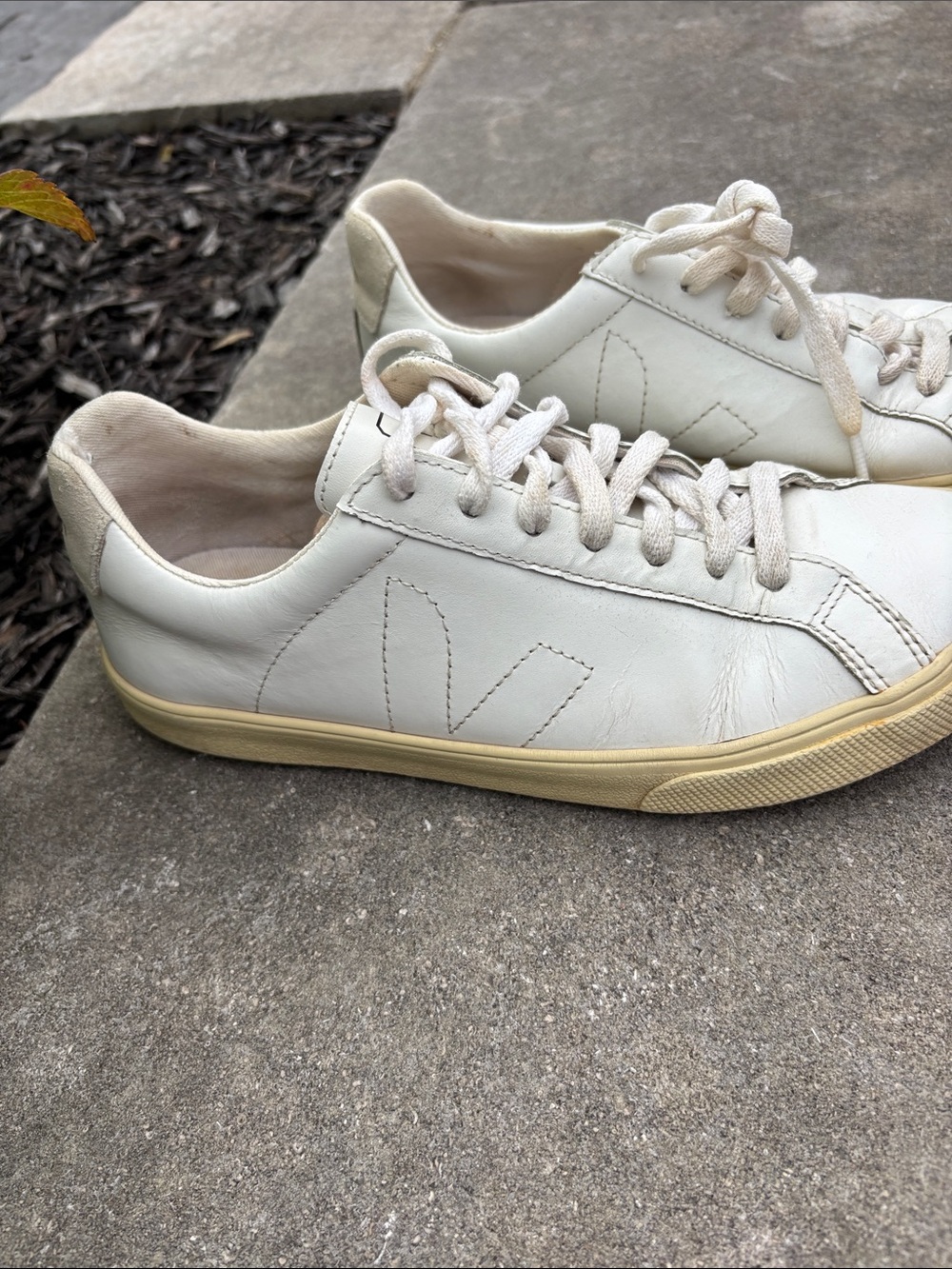 Veja Women's Off-White Leather Sneakers with Cream Sole